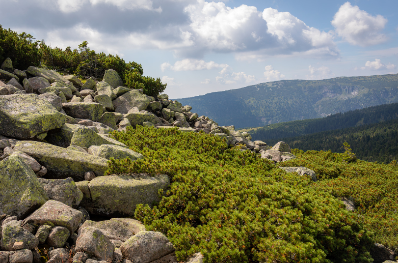 D’ici 2030, priorité aux mesures de restauration dans les sites Natura 2000
