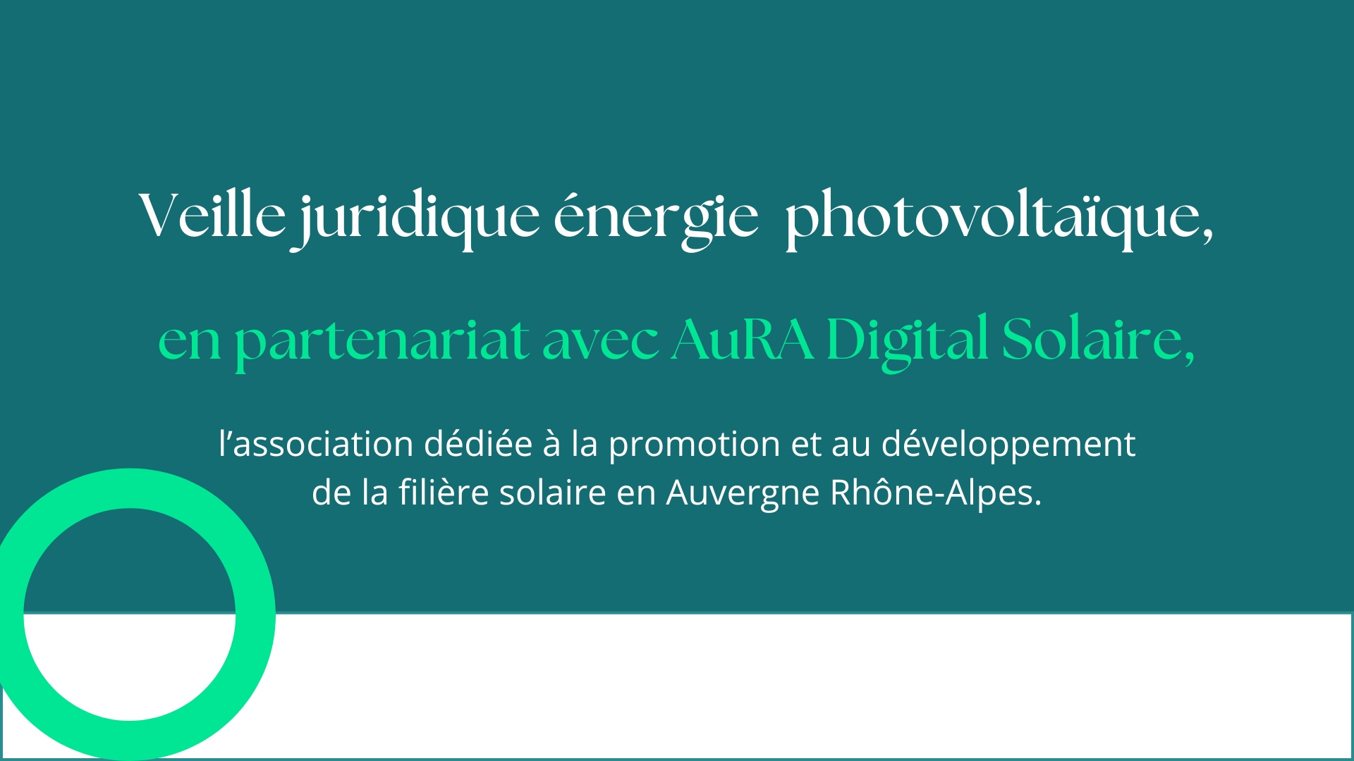 Veille juridique du 22 novembre 2024