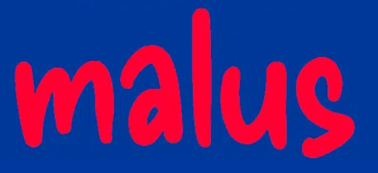Automobile – La Loi de Finances (LF) pour 2025 modifie les conditions du « malus » et un Arrêté durcit les modalités de calcul de l’avantage en nature