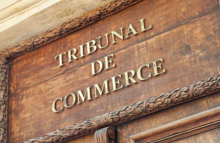 Création des Tribunaux des Activités Economiques et de la contribution pour la justice économique 